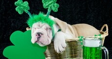 Open Thread: How do we feel about a 'sober' St Patrick's Day?