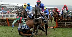 Man United stars, Michael O'Leary & Nadia Forde feature in the best pics from Cheltenham Day 2