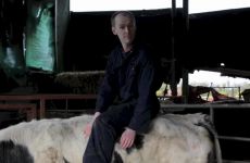 Meath man's Macra na Feirme campaign video is a thing of beauty
