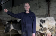 Udderly hilarious: This Meath man’s Macra na Feirme campaign video is a thing of beauty