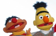 Thousands call for Muppet marriage... between Bert and Ernie