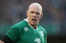 100 not out: O'Connell 'incredibly motivated' to play on for Ireland