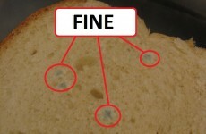 11 cookery commandments all students live by