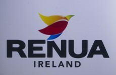 'Is it a bird? Is it a plant?': What on earth is that Renua Ireland logo all about?