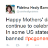 Fidelma Healy Eames just dropped another clanger on Twitter