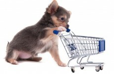 Tesco is still Ireland's supermarket top dog, but Supervalu is hot on its heels