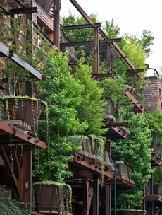 People in Italy are living in this treehouse