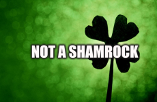 Dara Ó Briain is educating the masses on shamrocks like the patriot he is