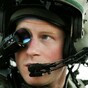 Prince Harry is leaving the army and looking for a new job