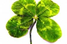 Police arrest more than 30 people in St Patrick's Day festivities