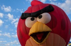 The company that created smartphone sensation Angry Birds is in freefall