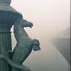 11 eerie photos of the fog in Dublin this morning