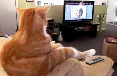 What to watch on TV tonight: Thursday