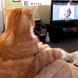 What to watch on TV tonight: Thursday
