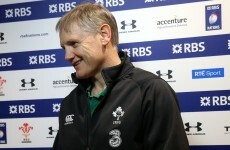 Ex-Scotland coach says 'pretty ordinary' Joe Schmidt is not a messiah