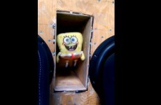 This is what happens when you place a stuffed Spongebob toy on a speaker