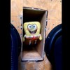 This is what happens when you place a stuffed Spongebob toy on a speaker