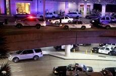 Man armed with wasp spray and machete shot by police at airport