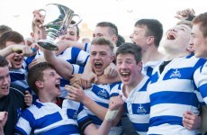 Roscrea joined the party at senior level but the old order struck back in the Junior Cup