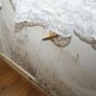 Ireland is facing a human rights case over the awful state of social housing here