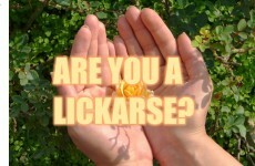 Are You A Lickarse?
