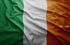 The Defence Forces will deliver an Irish flag to every school in the country for 2016