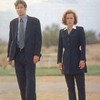David Duchovny and Gillian Anderson tweeted about The X Files return and Twitter swooned