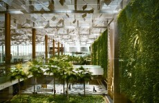 Here's why this incredible airport was named best in the world again