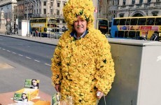 13 of the loveliest little moments from Daffodil Day 2015