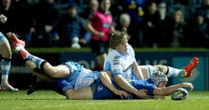 Leinster come from 20 down to share eight tries in thrilling draw with Glasgow