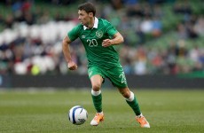 'Wes Hoolahan is a player who's always divided fans -- a lot of them see him as messianic'