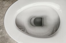 There could be millions of euro worth of gold in our poo