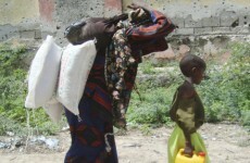 WFP investigating serious food aid theft in Somalia