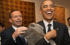 Immigration officer accidentally leaked world leaders' passport numbers