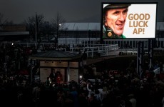 No Punchestown for Tony McCoy as he bids for Grand farewell