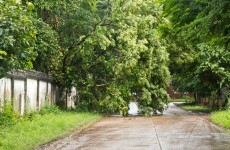Watch out for fallen trees on the roads this morning