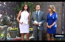 Behold. The most awkward news segment you'll see today