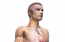 Over 300 people donated their bodies to medical science from 2012 - 2014