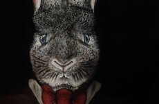 Look at this Limerick artist's incredibly realistic Easter bunny makeup