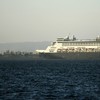 FBI investigating suspected murder-suicide on Caribbean cruise ship