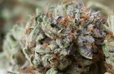 Four due in court after cars packed with cannabis stopped by gardaí