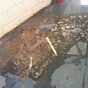 "You are walking through s*** - it's absolutely disgusting"