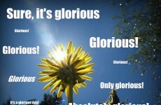 9 ways the sun makes Irish people lose the run of themselves