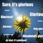 9 ways the sun makes Irish people lose the run of themselves