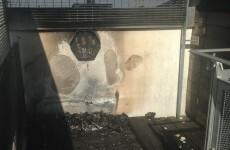 Community centre partially burned after "up to 40" young people get on to roof