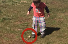 Take a break and watch this kid's adorable Easter egg fail