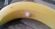 Thurles man "freaked" after finding spider nest on Aldi banana