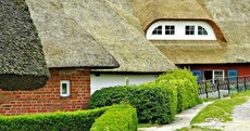 Thatched roofing could be set for a comeback