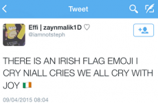 6 intense emotions about the new Irish flag emoji