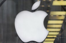 'Working for Apple is like working for a cult'